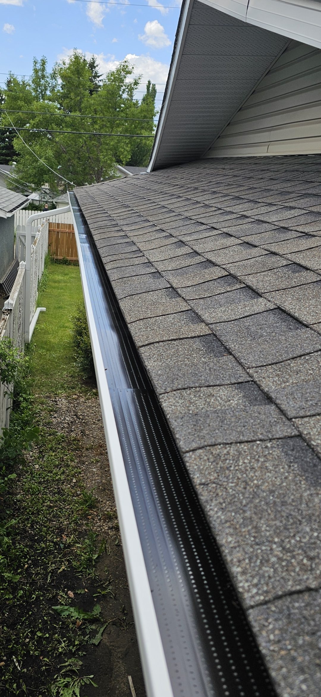 Leaf-guard protection system